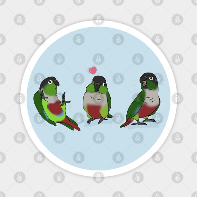 Three Green Cheeked Conure doodles Magnet by FandomizedRose
